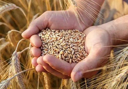 World wheat prices rise in July: FAO
