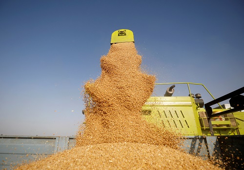 India to offer 5 million tons wheat to bulk consumers to cool prices