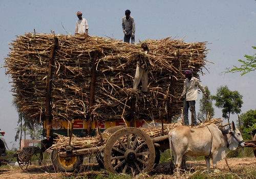 Indian sugar production concerns drive local prices to 6-year high