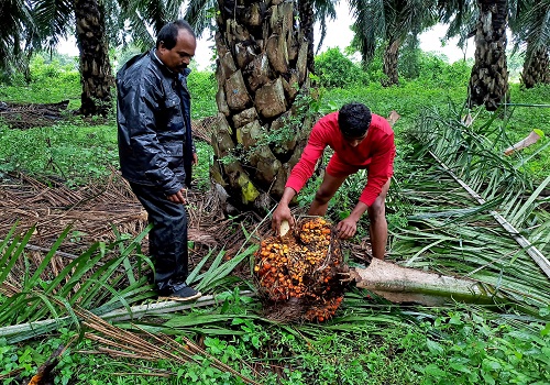 India`s top palm oil buyer expects 26% jump in imports to record 10 million T