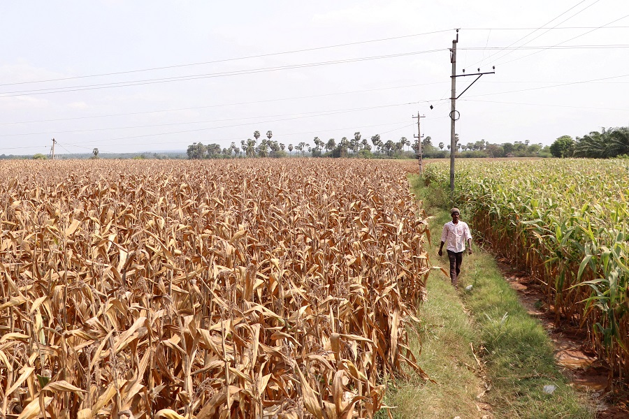 Inflation prompts India cenbank to raise agri loan limit