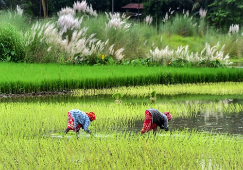 Kharif crop sowing exceeds normal area amid healthy monsoon: Centre