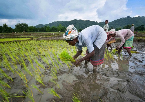 India implementing worlds largest food-based safety net programmes: Minister