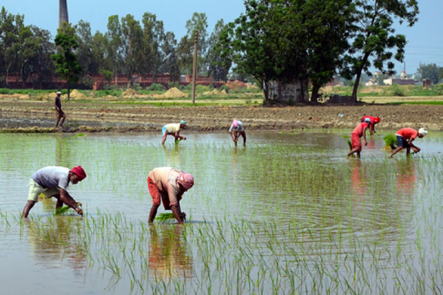 World Bank okays loan for new project to boost earnings of UP farmers