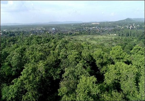 Coal PSUs enhance green cover with 235 lakh trees across 10,784 hectares
