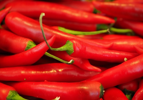 Spicing Up Supply Chains: Indian Chilli Market Trends Amidst Changing Demands by Amit Gupta, Kedia Advisory