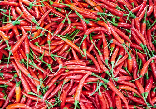 Chilli Prices Surge on Crop Concerns and Export Demand by Amit Gupta, Kedia Advisory