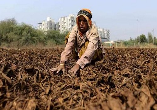 Centre announces relief package for Andhra Pradesh, Karnataka tobacco farmers