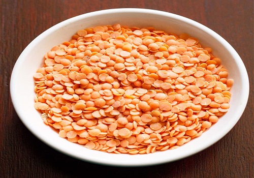 Government extends Customs duty exemption on masoor dal till March 2025
