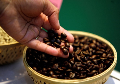 India`s Coffee Output Dips Amidst Global Production Surge by Amit Gupta, Kedia Advisory