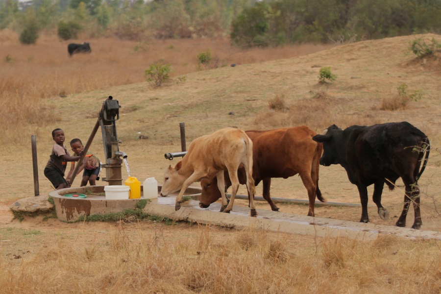 World Bank warns Zimbabwe on climate-induced economic losses