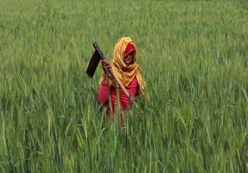 Thriving Harvests and Rainfall Realities: India's Summer Crop Surge Amidst Varied Pre-Monsoon Showers by Amit Gupta, Kedia Advisory