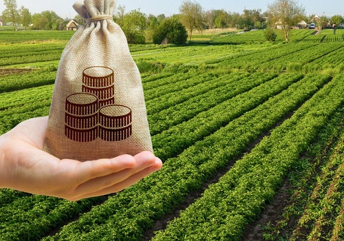 Rajasthan: NABARD announces priority sector credit potential of Rs 3.62 lakh crore for FY 2024-25