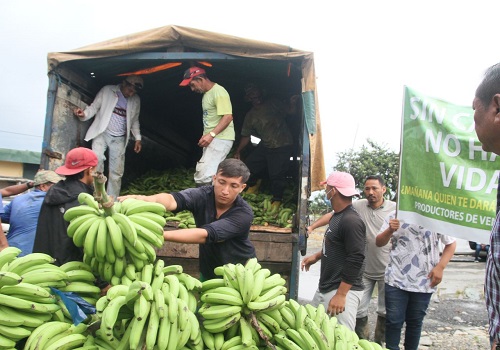 India exports bananas to Russia after Moscow stops purchase from Ecuador