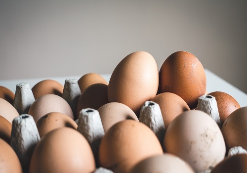 Michaung effect: Skyrocketing price of eggs in Kolkata`s retail markets