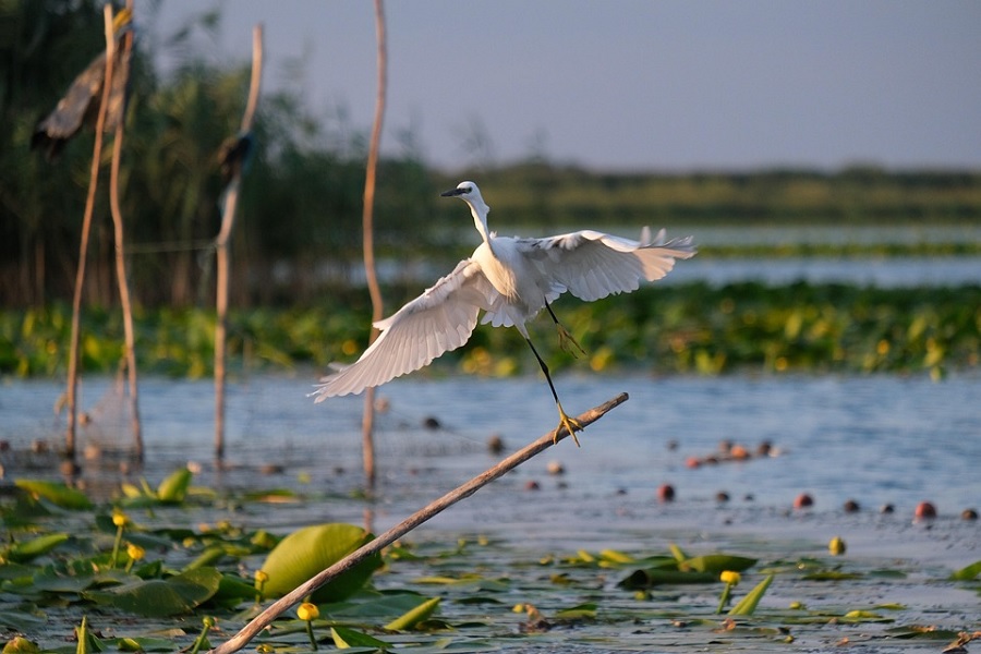 Ecotourism: Travel That Gives Back to Nature