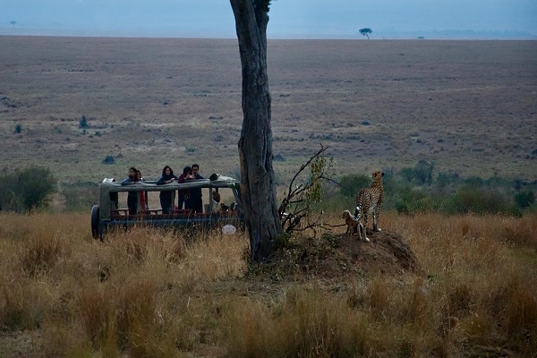 Ecotourism: Traveling with a Purpose to Protect the Planet