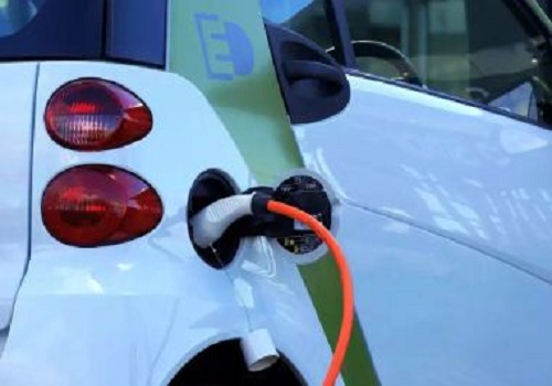`EVs can go a long way to help India reach net zero target`