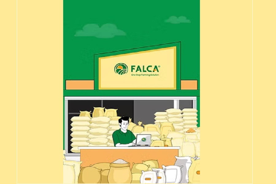 Agritech startup Falca`s loss triples to Rs 15 crore in FY24 as expenses surge over 30 pc