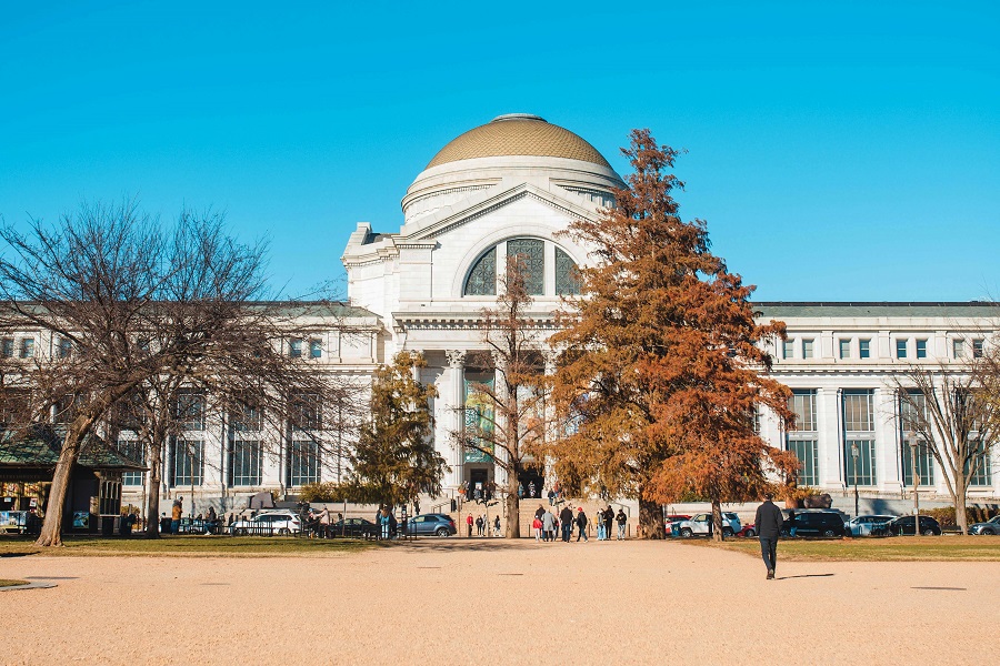 Exploring Educational Museums in Washington, D.C. with Kids: A Fun and Learning-filled Family Adventure