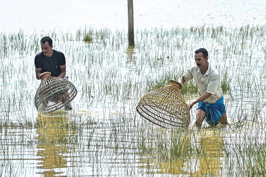 Finance Ministry tells banks to give more loans for agri-allied activities