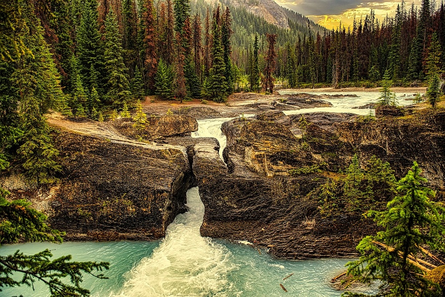 Explore the Unspoiled Beauty of Glacier National Park: A True Ecotourism Haven