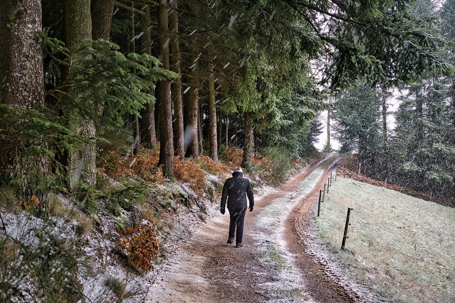 Monsoon Meditations: A Soulful Solo Escape to Mcleodganj, Himachal Pradesh