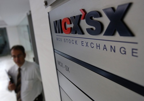 Trading at India`s MCX resumes after 4-hour delay due to technical snag