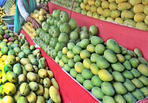 Uttar Pradesh government  to boost mango export with higher yield and improved quality