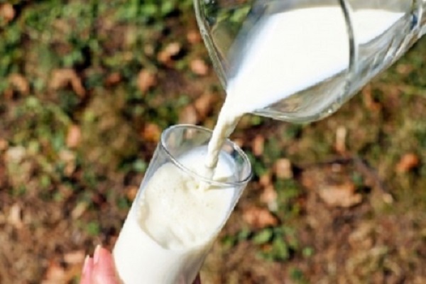 Drinking Cow`s Milk After Exercise Strengthens Bones and May Help Prevent Fractures in Old Age