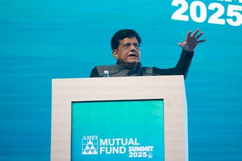 Domestic investors will shape India`s future, not FIIs: Piyush Goyal