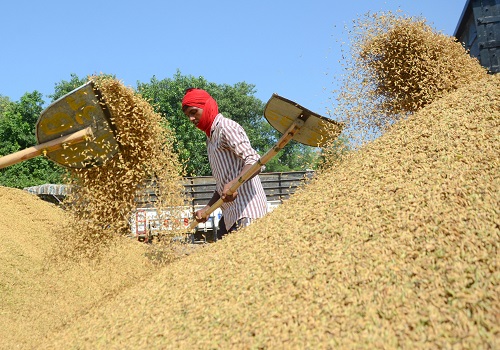 India`s Wheat Reserves Hit 16-Year Low Amid Rising Rice Stocks by  Amit Gupta, Kedia Advisory