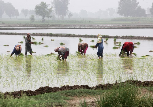 Kharif Sowing Surges by 32% Amid Early Monsoon and High Crop Prices by Amit Gupta, Kedia Advisory