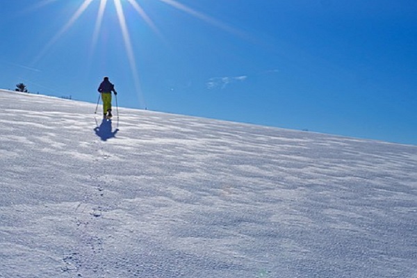 Seasonal Adventures: Embracing Natures Rhythms Through Travel