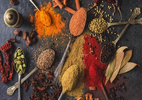 India`s spices exports hit record $4.46 billion in FY24, red chilli up by 15 pc