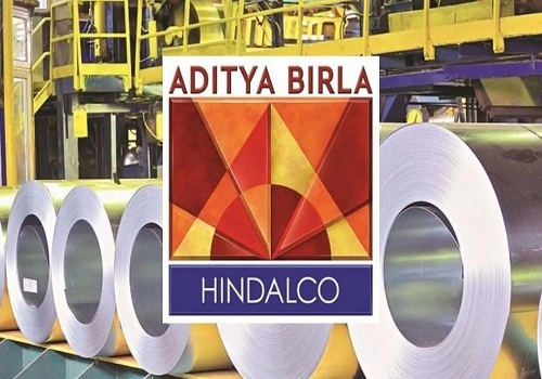 Hindalco leads rally in metal stocks