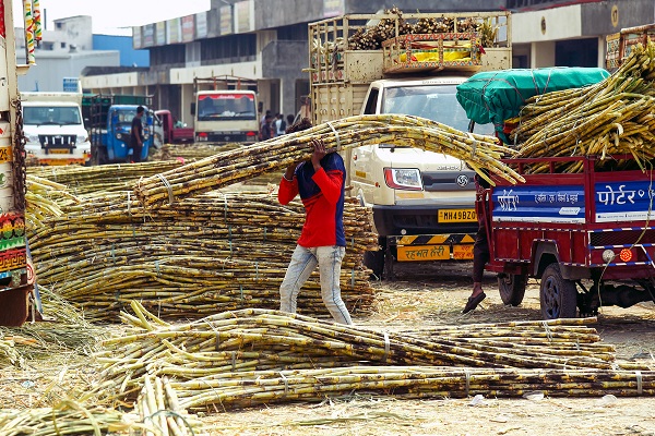 Centre imposes stock holding limits on sugar dealers from Aug 1-Nov 30