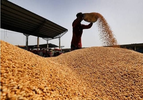 Wheat Stocks Plummet as Traders Navigate Policy Uncertainty by Amit Gupta, Kedia Advisory