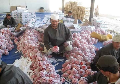 Afghanistan exports goods worth 304 mln USD in three-months