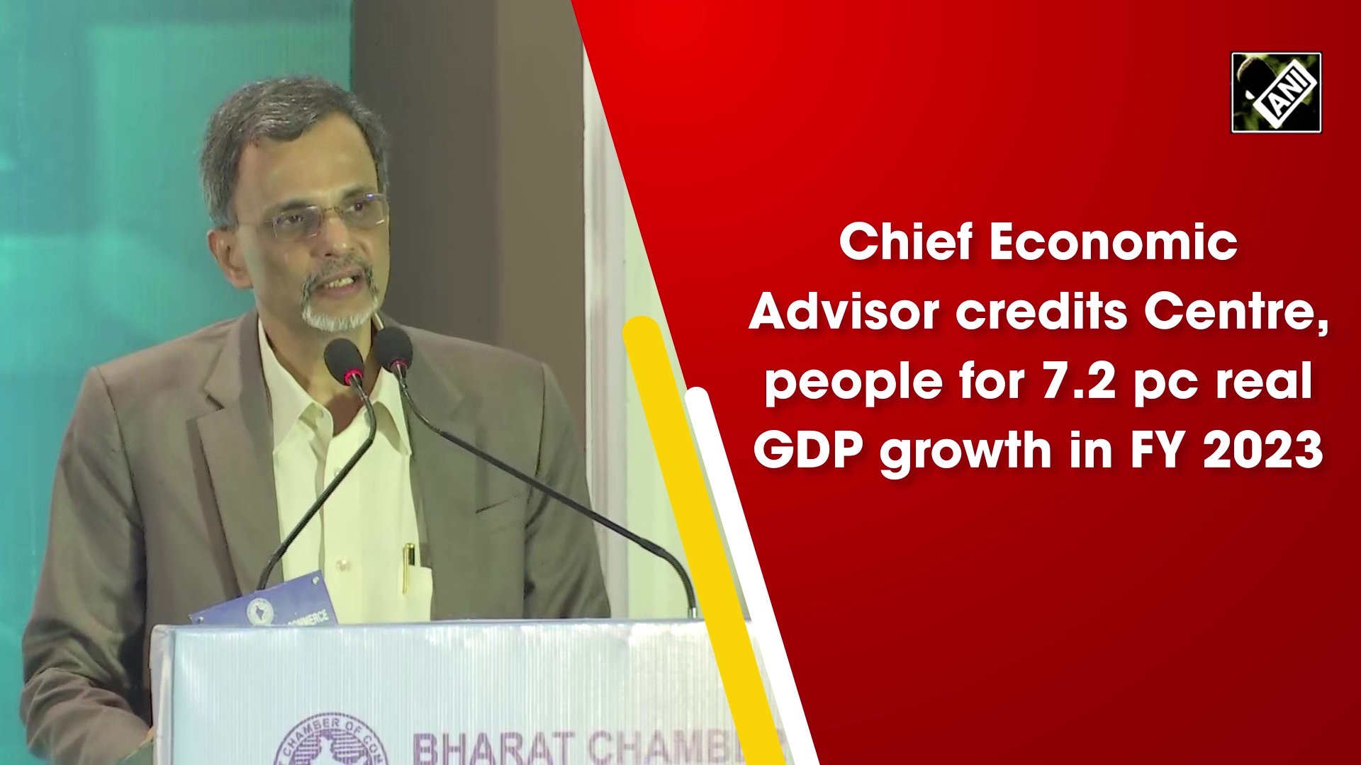 Chief Economic Advisor credits Centre, people for 7.2 pc real GDP growth in FY 2023