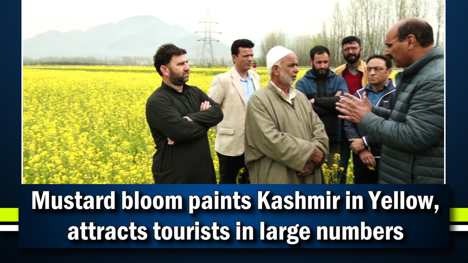 Mustard bloom paints Kashmir in Yellow, attracts tourists in large numbers