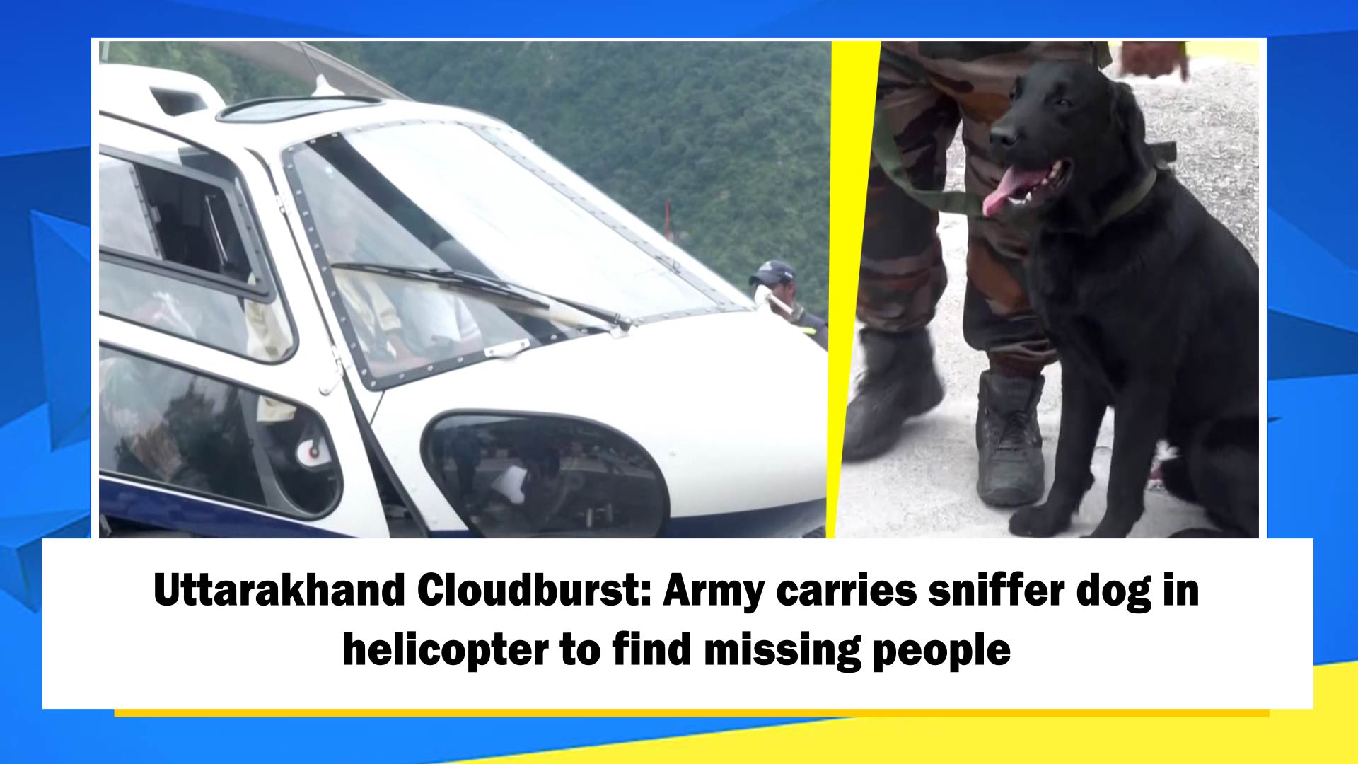 Uttarakhand Cloudburst: Army carries sniffer dog in helicopter to find missing people