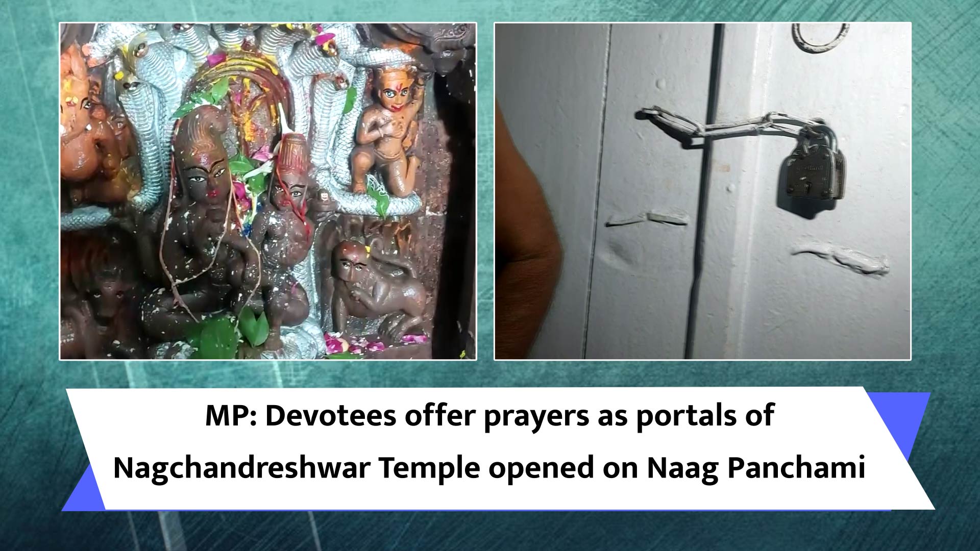 MP: Devotees offer prayers as portals of Nagchandreshwar Temple opened on Naag Panchami