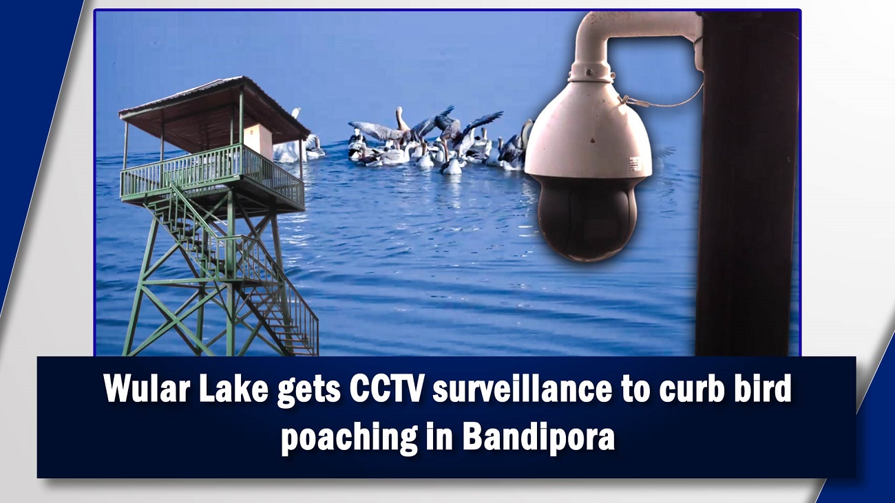 Wular Lake gets CCTV surveillance to curb bird poaching in Bandipora