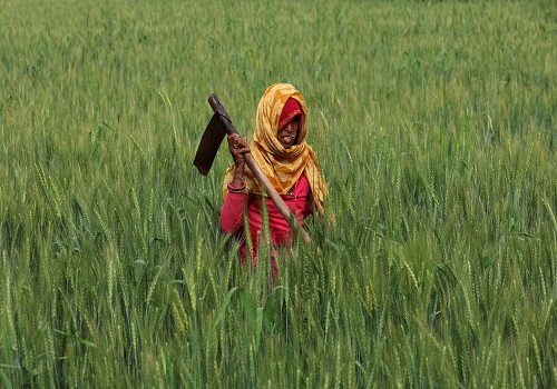 India to release more wheat stocks to reduce prices