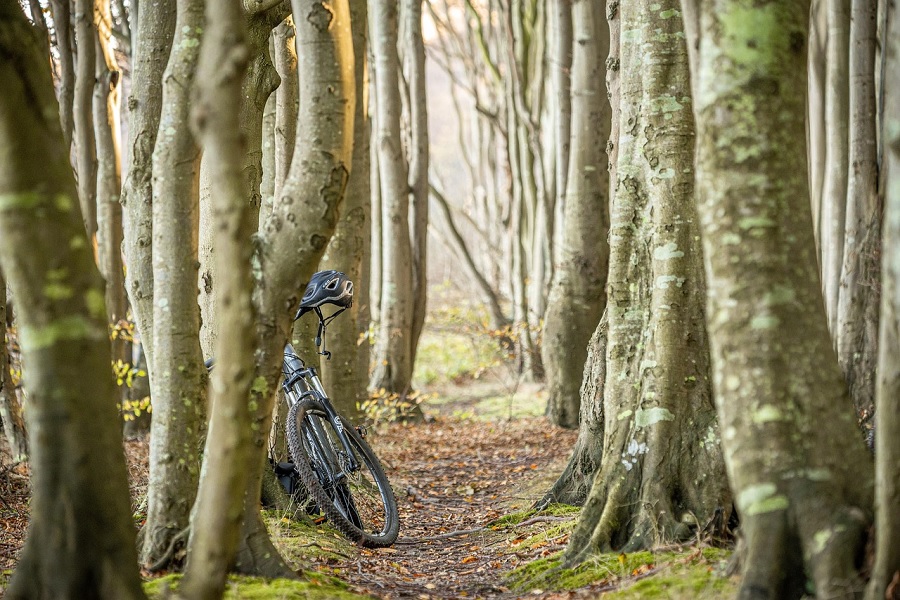Seasonal Adventures: Embrace the Thrill of Every Season