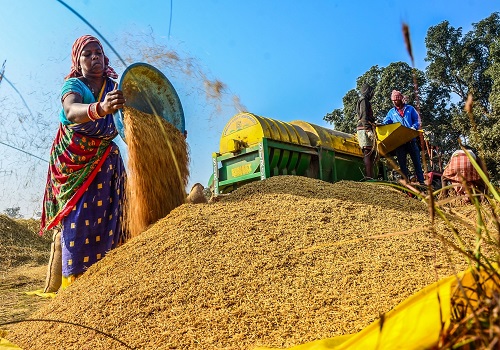 12.2 lakh metric tonnes paddy procured till Oct 3, says Centre