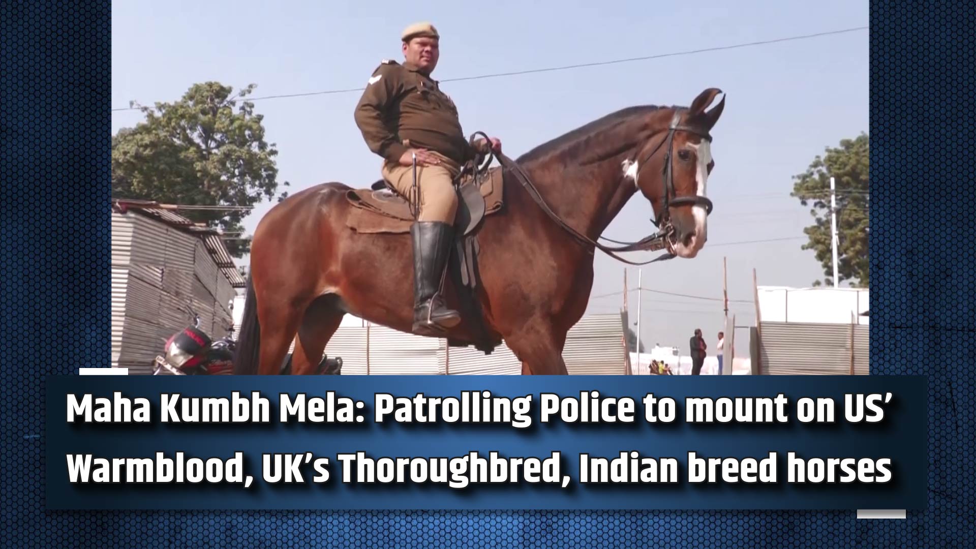 Maha Kumbh Mela: Patrolling Police to mount on US` Warmblood, UK`s Thoroughbred, Indian breed horses