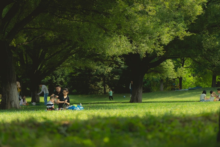 Family Tourism Flourishes in 2025: Creating Cherished Memories Together