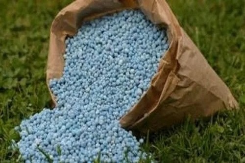 Government giving extra fertiliser subsidy to farmers amid rise in global prices: Minister